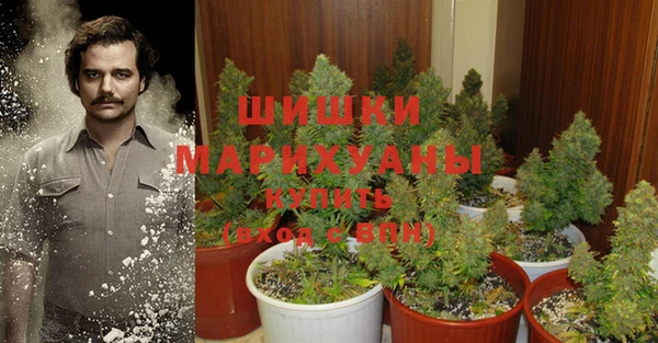 каннабис Белокуриха