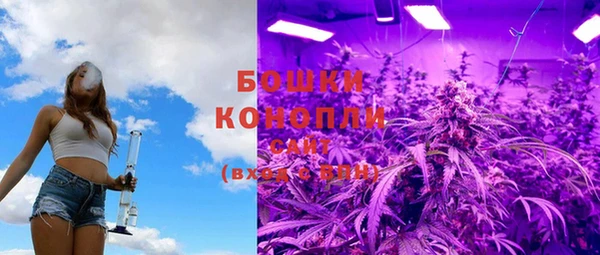 гидра Белоозёрский