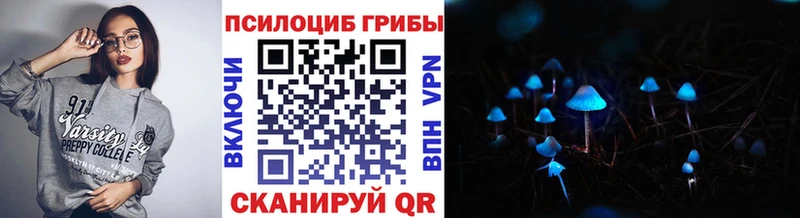 мега сайт  Гатчина  Псилоцибиновые грибы Cubensis 